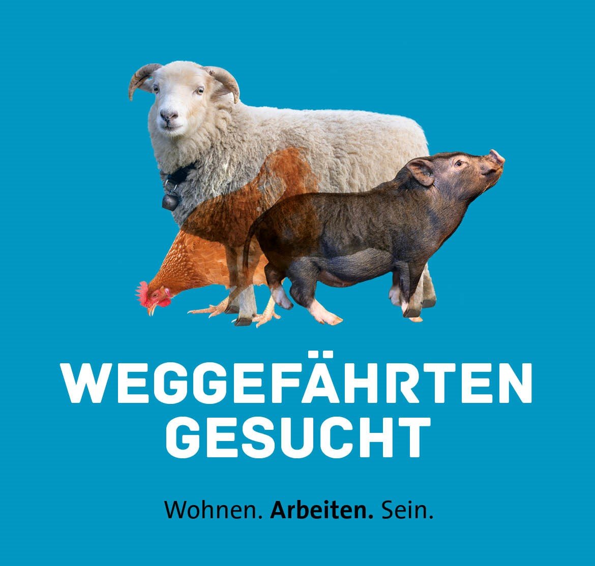 Weggefährten gesucht Weggefährten
